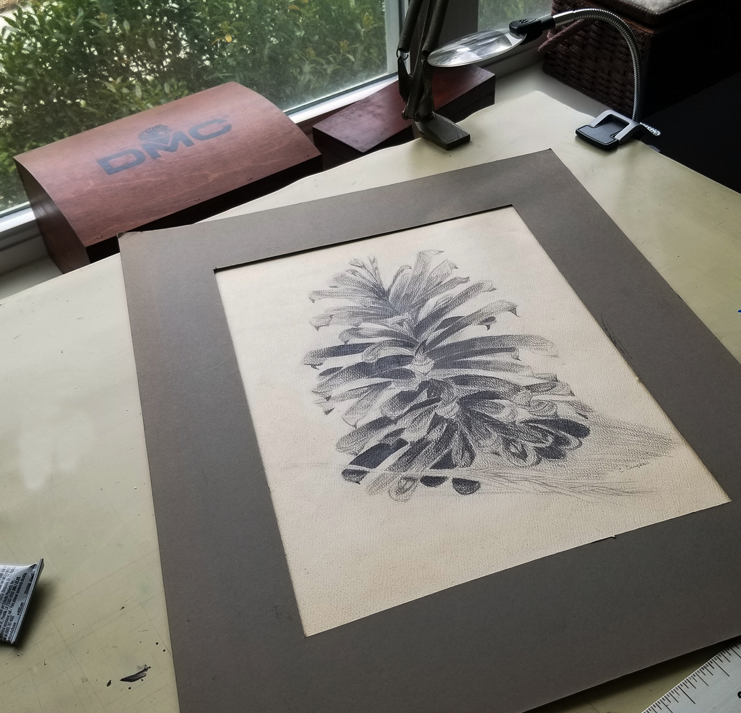Pinecone Pencil Drawing by Cathleen Campbell Stone